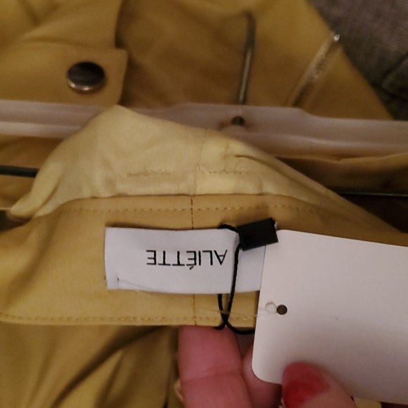 NWT initially priced at $690 Aliette skirt - Picture 4 of 4